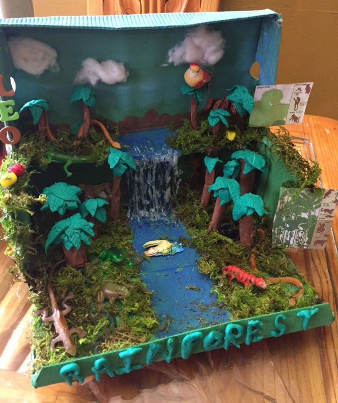 Макет джунгли для детского сада