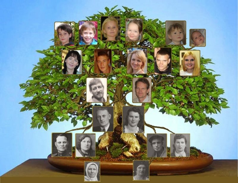 Креативное дерево семьи