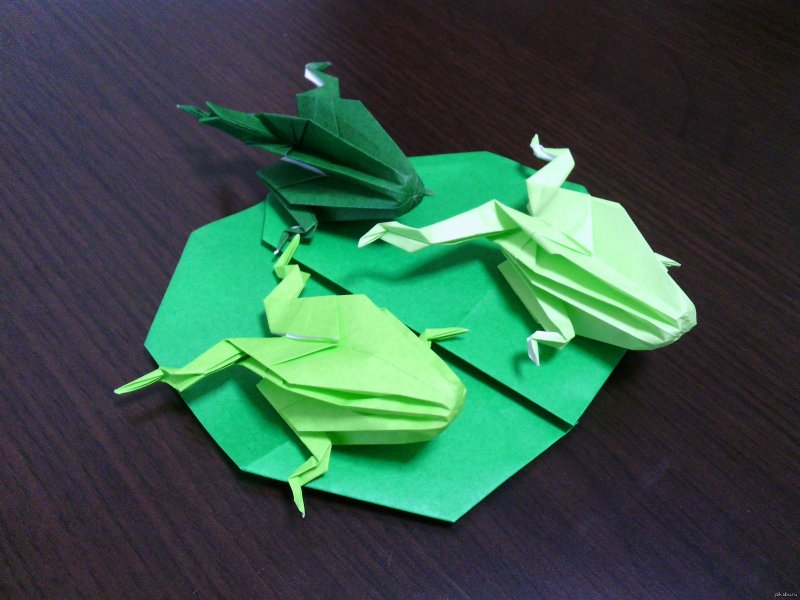 Конструирование из бумаги лягушка