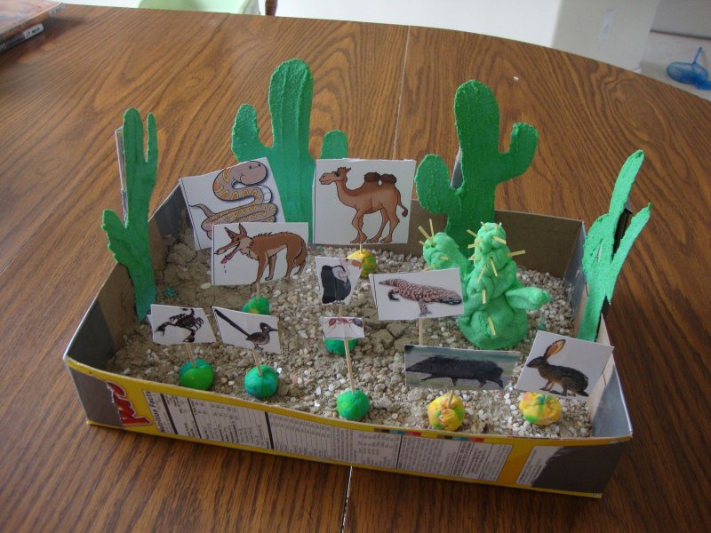 Макет пустыня для детского сада