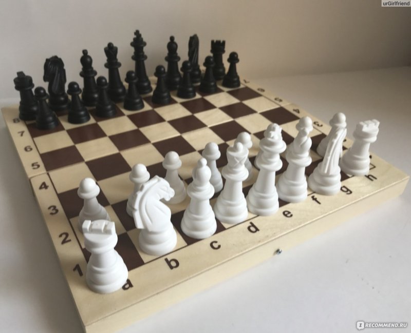Выставка шахмат