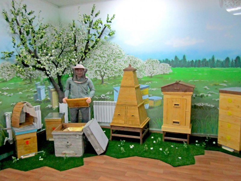 Музей пчелы Хвалынск