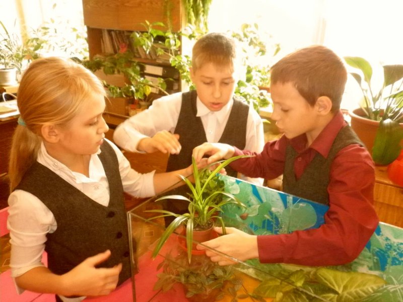 Экологические мастер классы для детей