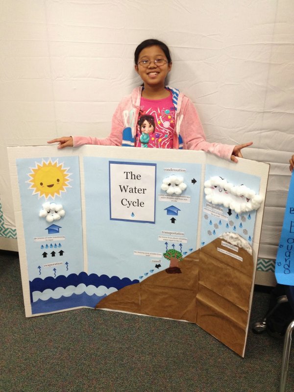 Water Cycle Handcraft