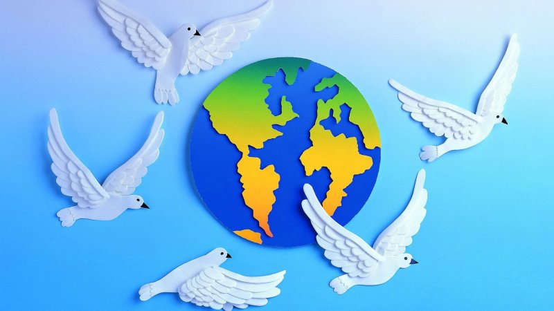 Подделка мир во всем мире