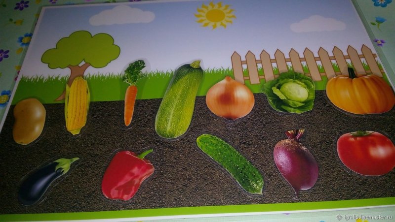 Овощи для детского сада