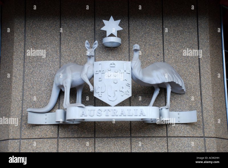 Кенгуру и эму символ Австралии