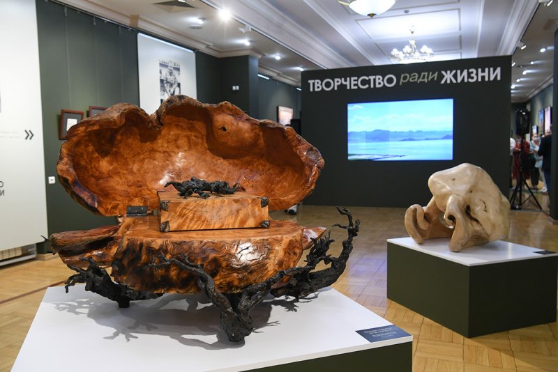 Выставка Шойгу в Казани
