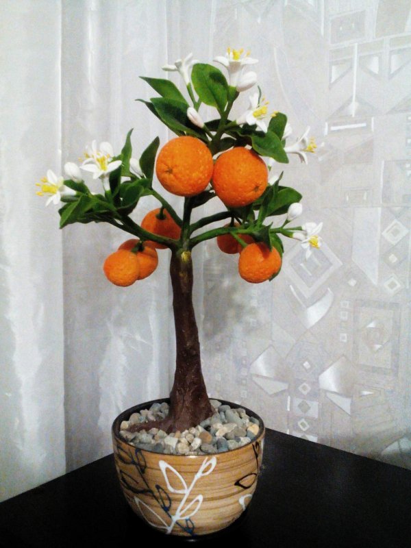 Топиарий апельсиновое дерево
