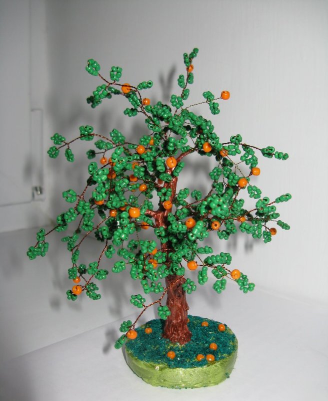 Апельсиновое декоративно декоративное дерево