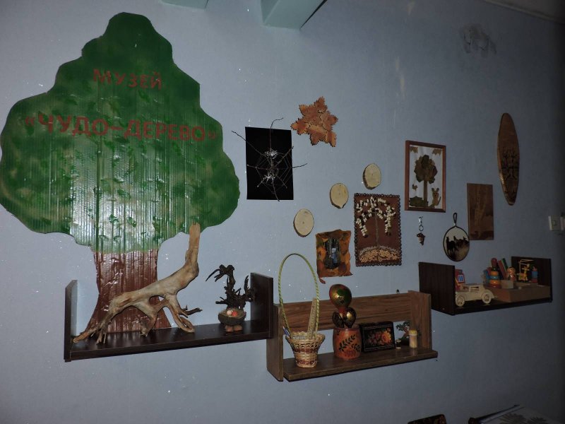 Мини музей дерева в детском саду