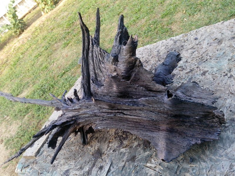 Вешалка из корней дерева