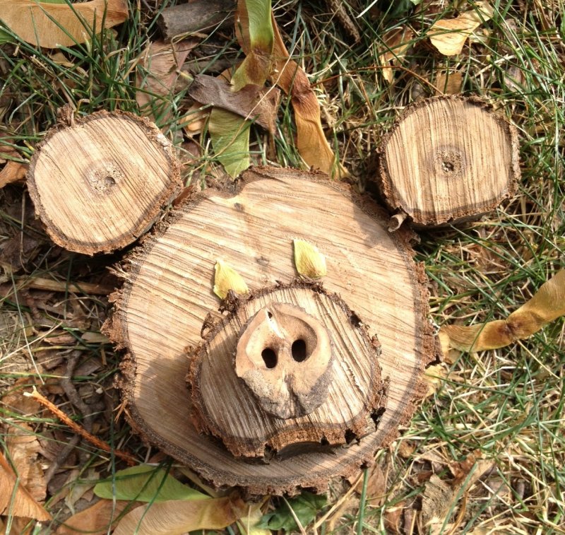 Поделки из спилов дерева в детский сад