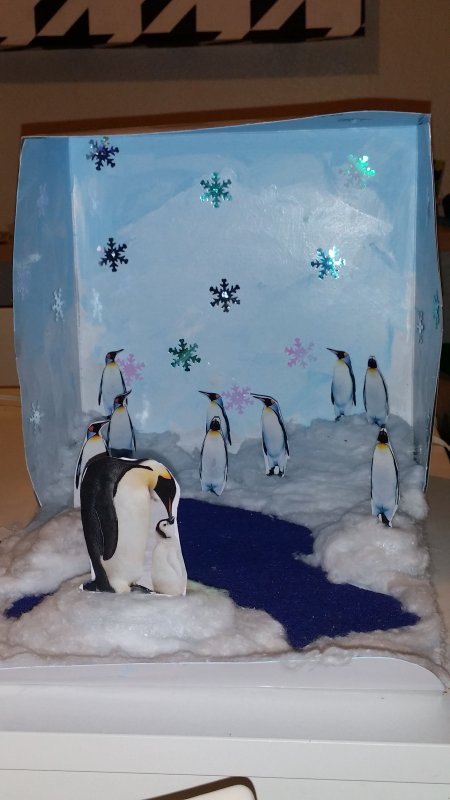 Пингвины аппликация в детском саду