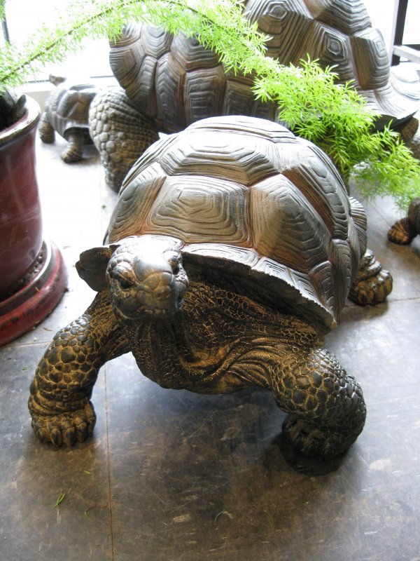 Черепаха из цемента для сада
