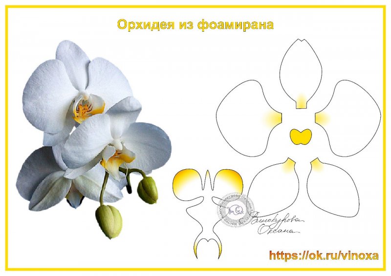 Выкройка орхидеи