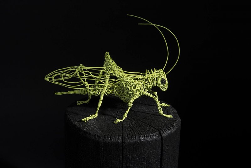 Grasshopper 3d шкатулка