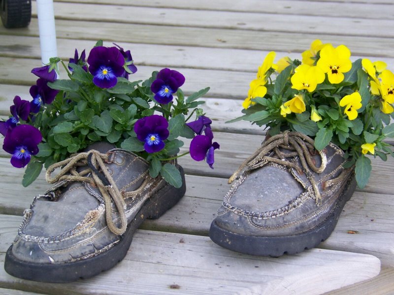 Горшки для цветов из старой обуви
