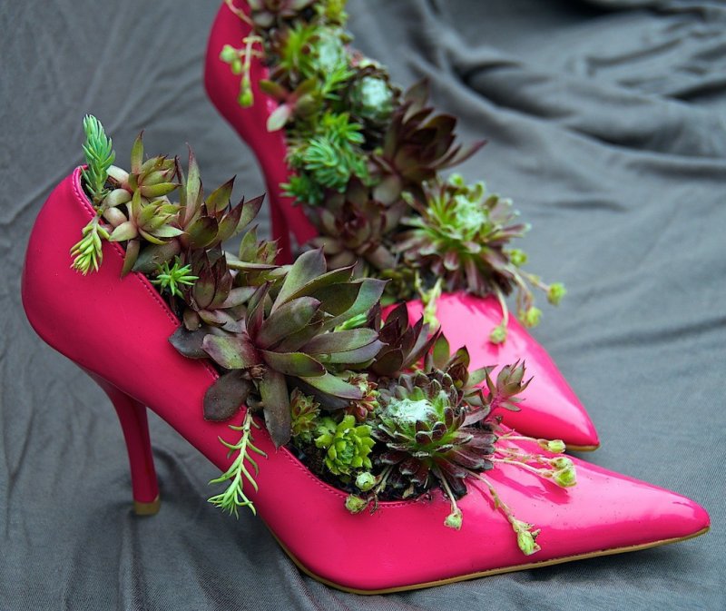 Необычные цветочные горшки из обуви