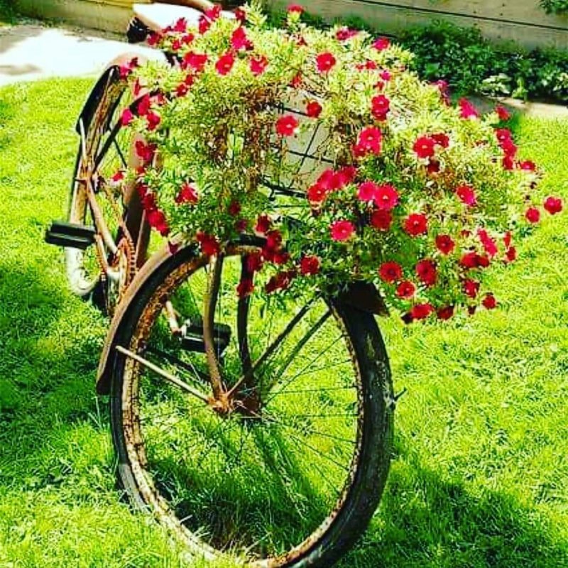 Велосипед в саду декор