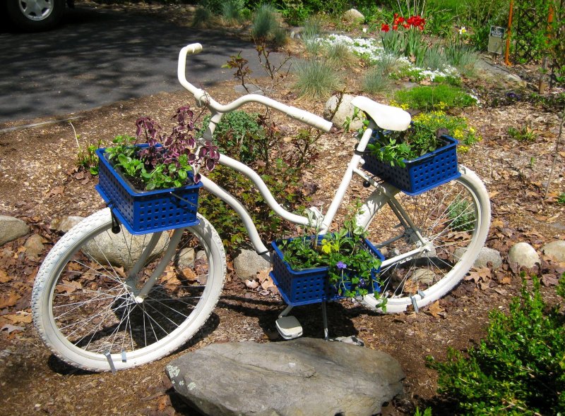 Трехколесный велосипед цветник