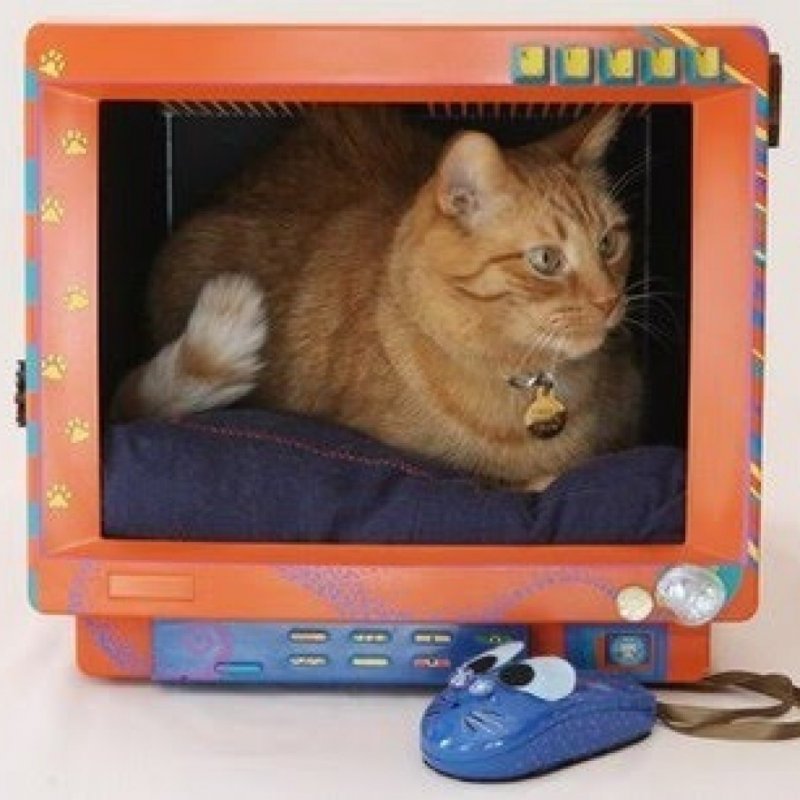 Монитор домик для кошки