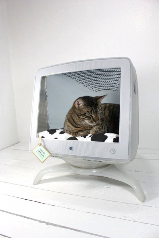 Домик для кошки из монитора компьютера