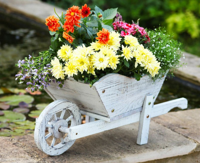 Садовая тележка с цветами