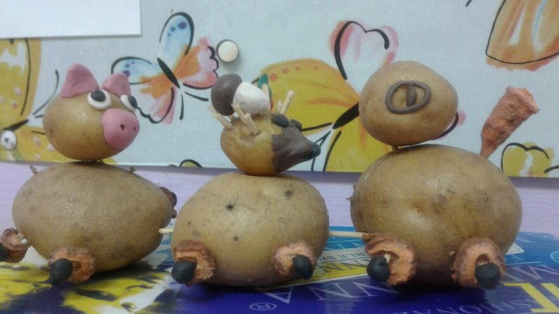 Поделки из картофеля на выставку