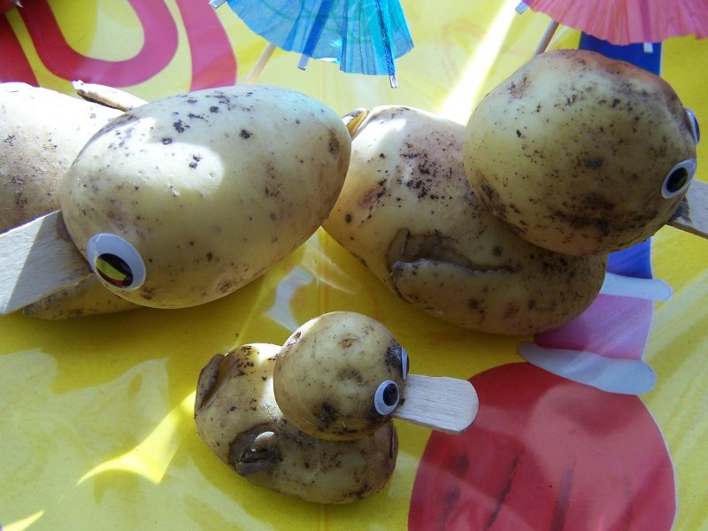 Поделки из картофеля