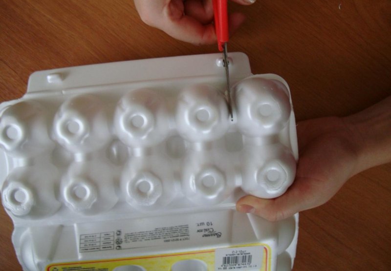 Пластиковые коробки от яиц