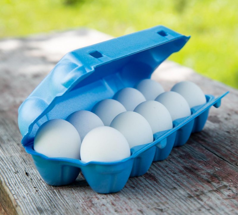 Пластиковая коробка для яиц