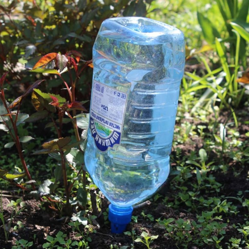 Поделки из пятилитровых пластиковых бутылок своими руками для сада