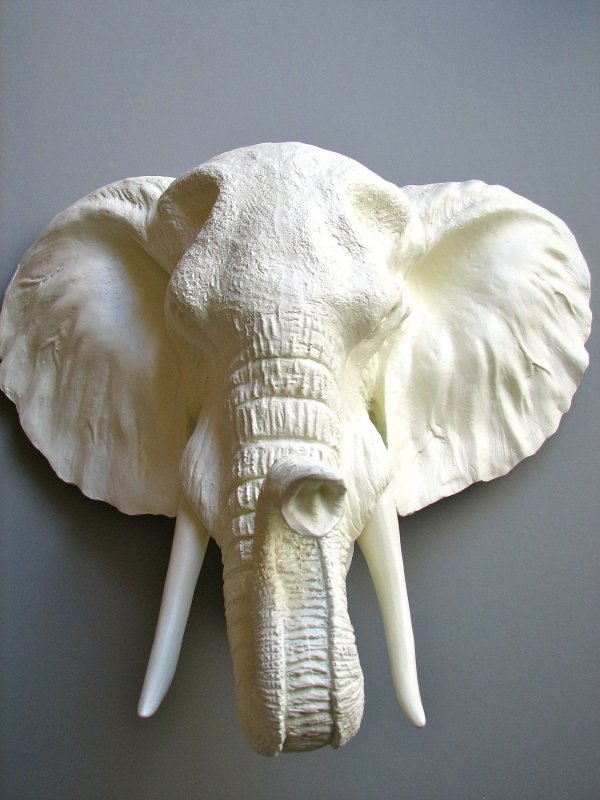Голова слона