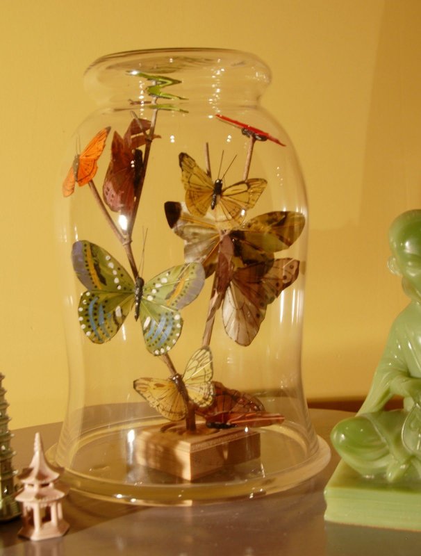 Insects Jar
