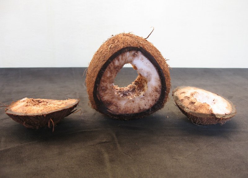 Подставка из кокоса