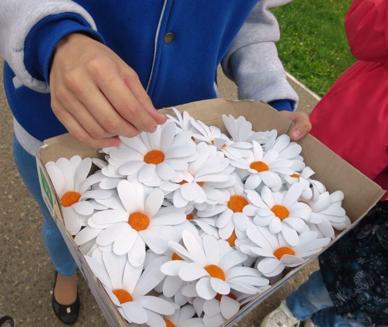 Цветы из бумаги своими руками для детей