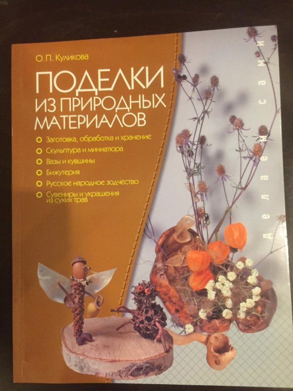 Книга поделки из природных материалов Автор Куликова