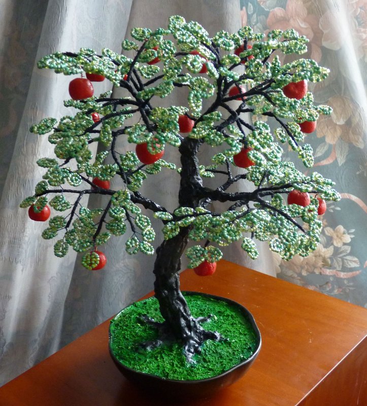 Бисерное дерево яблоня