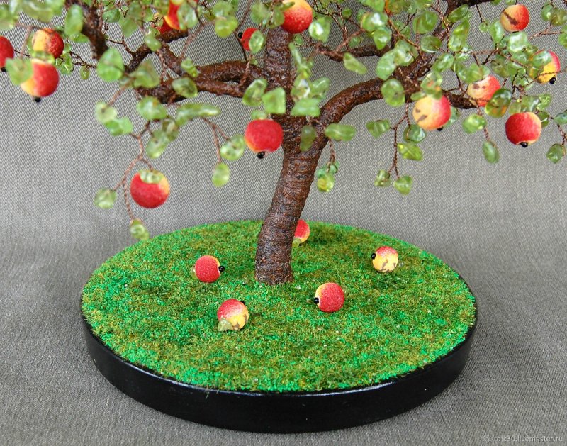 Яблоня дерево миниатюра