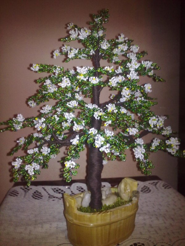 Бисерное дерево яблоня
