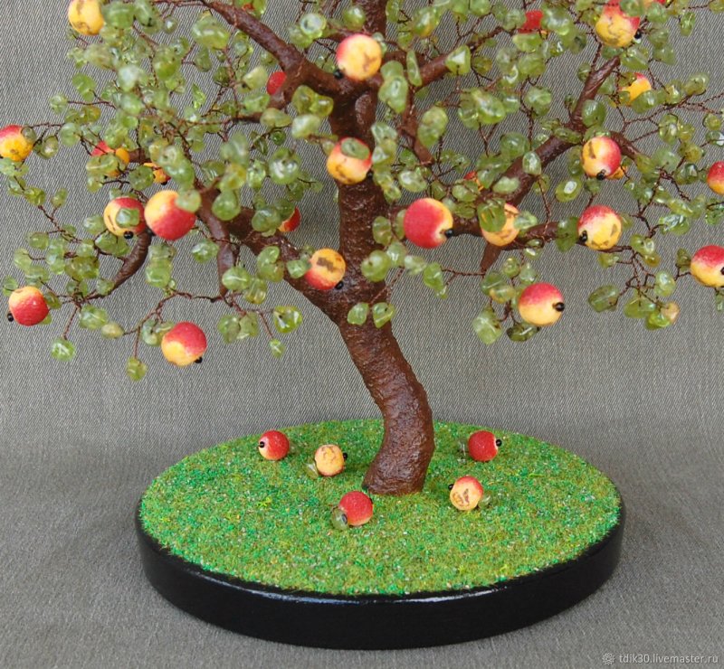 Яблоневое дерево Кристиан Беркель