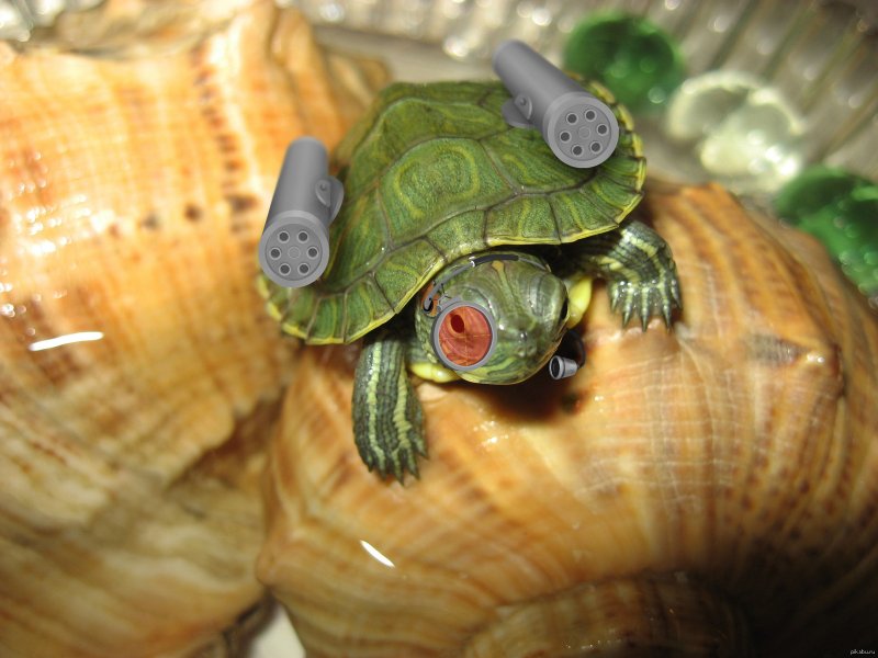 Черепаха из овощей
