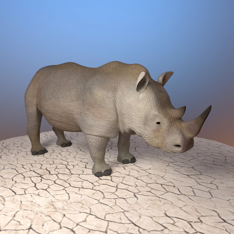 Nymphenburg Rhino