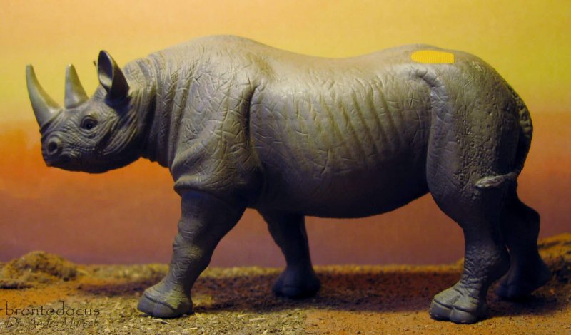 Rhino кий