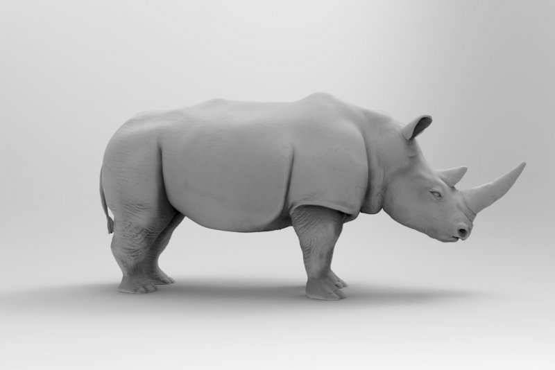 Стефано Бомбардиери скульптор белый носорог