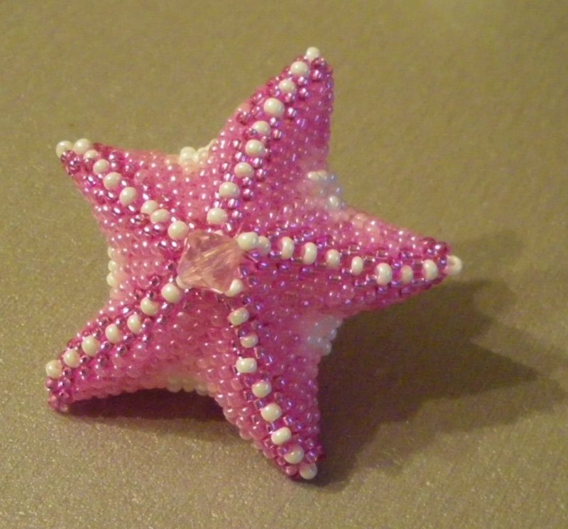 Круглая морская звезда