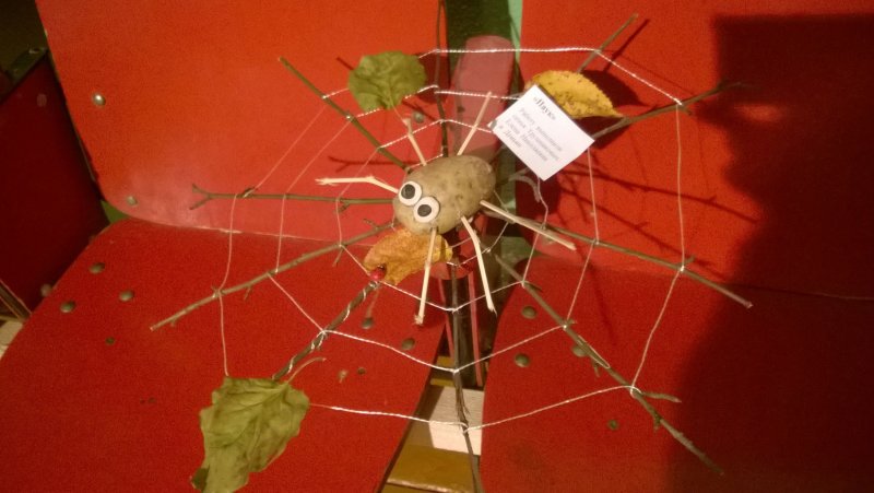 Spider Craft for Kids