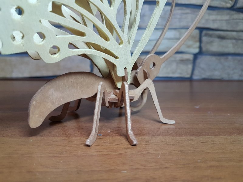 Бабочка из фанеры для детского сада