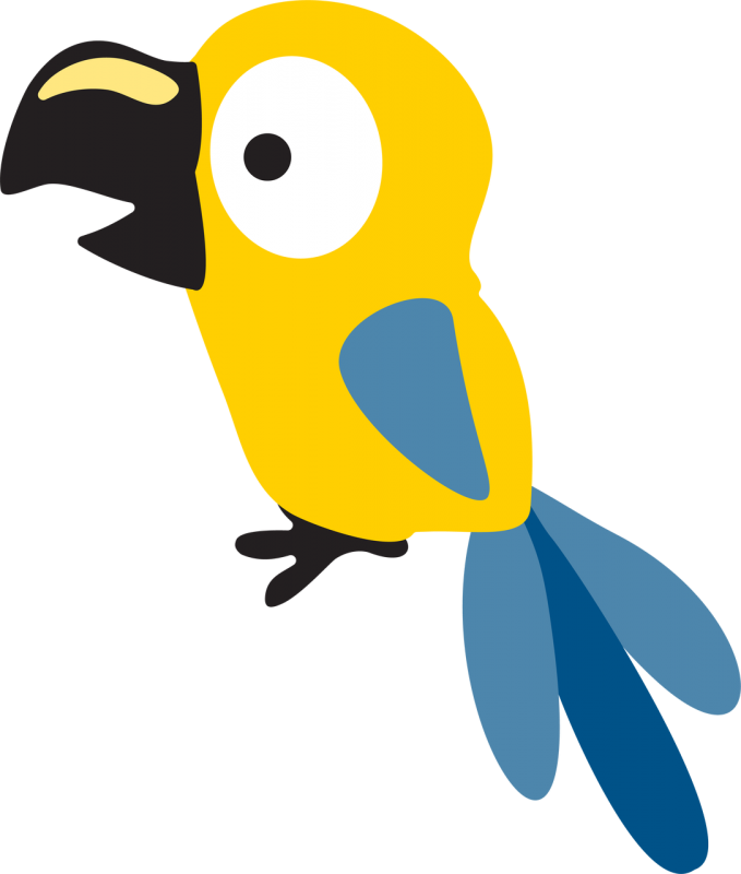 Рисование попугая для детей